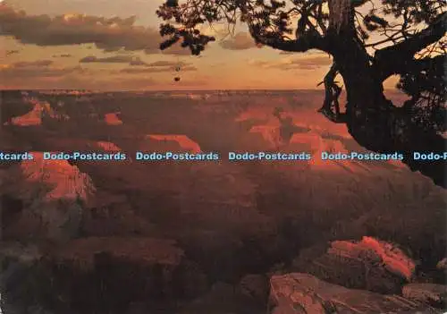 D220185 Arizona Grand Canyon National Park Hopi Point Verkamp 1993