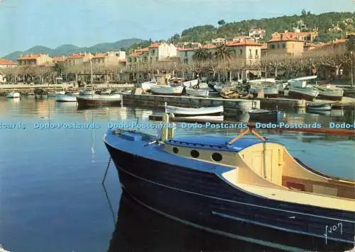 D222037 Sainte Maxime Var Le Port Yvon 1956