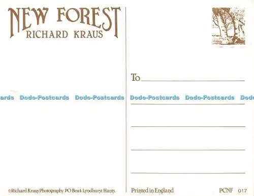 D226623 New Forest Richard Kraus