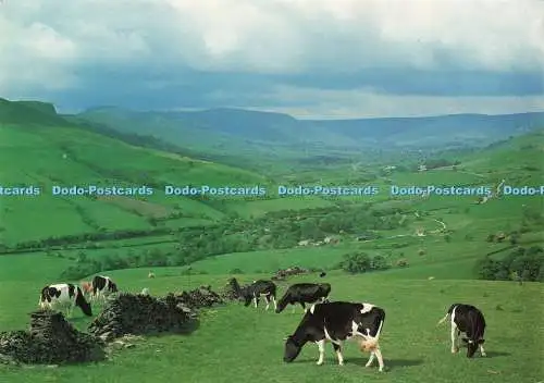 D226648 The Edale Valley Peak Park Point Planning Board Bakewell