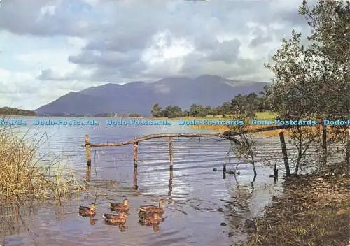D224820 Cumbria Derwentwater and Skiddaw J Arthur Dixon V K Guy 1987