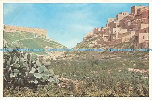 D224824 Palästina C Judäa außerhalb Jerusalems S P C K