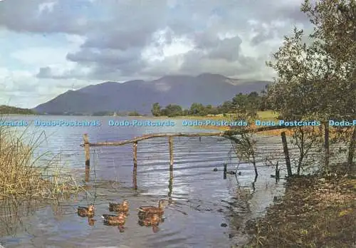 D224847 Cumbria Derwentwater and Skiddaw J Arthur Dixon V K Guy
