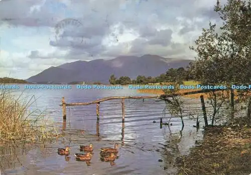 D224858 Cumbria Derwentwater and Skiddaw J Arthur Dixon V K Guy 1987