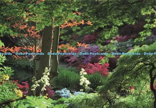 D227636 Hampshire Exbury Gardens Home Wood Burgess and Son Ltd