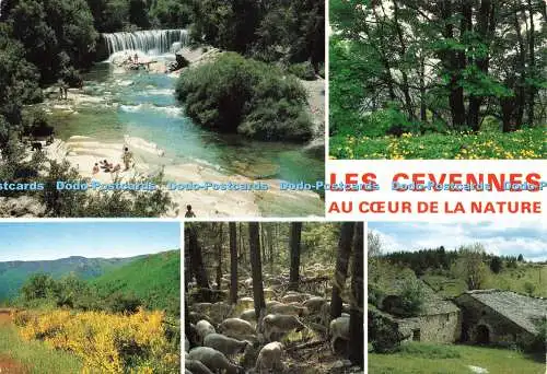 D227651 Les Cevennes au Coeur de la Nature Meridionales Multi View 1991