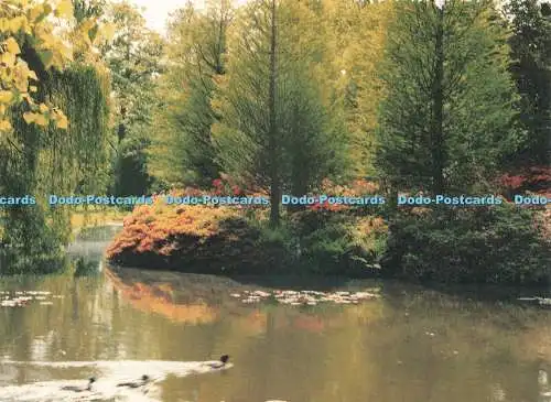 D227913 Bushy Park Der Blindenführhundeverein Jean Tickler 2001