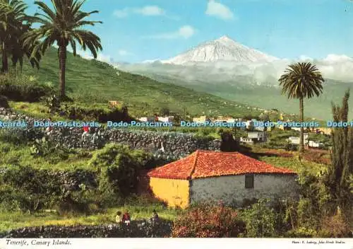 D227923 Kanarische Inseln Teneriffa John Hinde Ltd E Ludwig