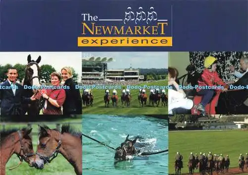 D242942 Mehr als nur ein Tag bei den Rennen The Newmarket Experience