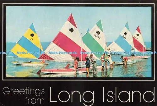 D243537 Grüße von Long Island Sunfish Fleet Tomlin Art Co