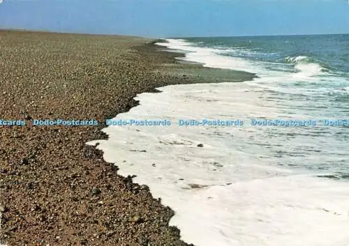 D240171 Norfolk Blakeney Point National Trust David Gentleman