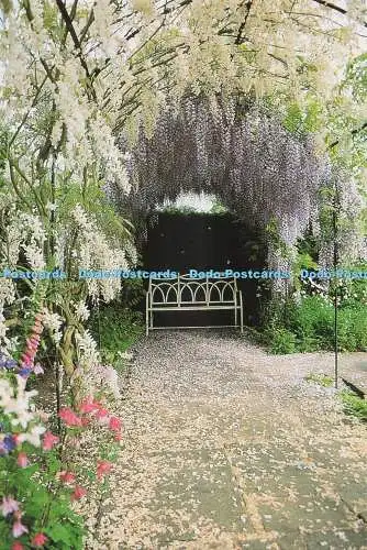 D245531 Oxon Glyzinie im formellen Garten Waterperry Gardens Gedankenfabrik Ra