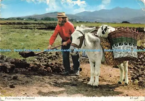 D243489 Torfsteckling in Irland Valentine and Sons Ltd Valuxe 1966
