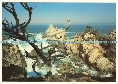 D243546 California Carmel Point Lobos State Reserve Smith Novelty Co Plastichrom