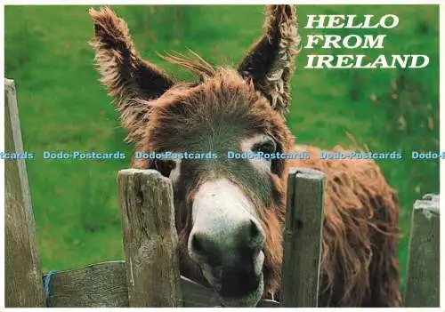 D243596 Hello from Ireland John Hinde Ltd M Downers 1994