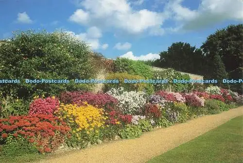 D246060 Oxon The Autumn Border Thought Factory Ray K Smith