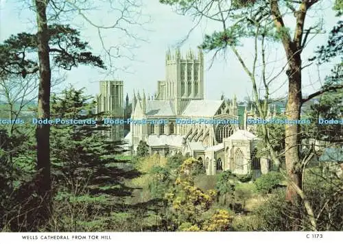 D248220 Wells Cathedral from Tor Hill Judges Limited C 1173