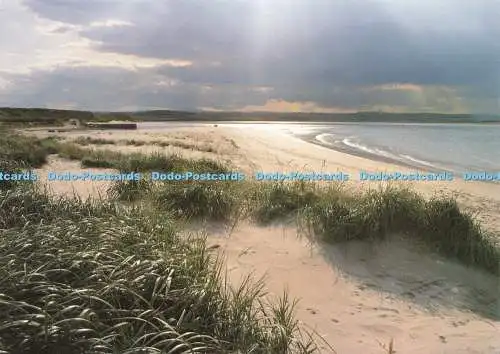D243872 Budle Bay Teil des Northumberland Heritage Coastline National Park und Co