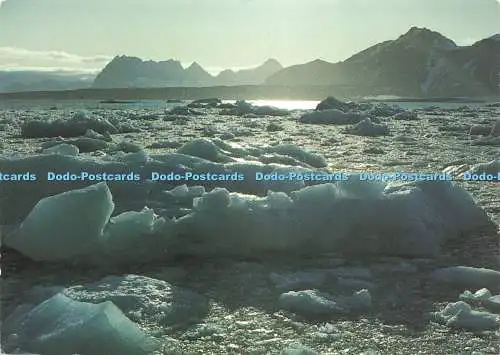 D246230 Svalbard Spitzbergen Hornsund Herta Grondal Vontobel Druck