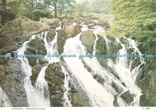 D246334 N Wales Swallow Falls Judges C 438