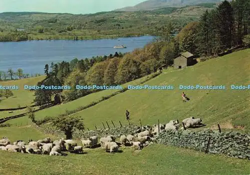 D248379 Cumbria Lake Windermere J Arthur Dixon Ltd V K Guy