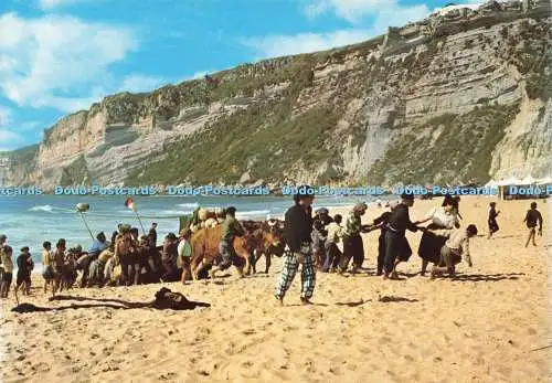 D246400 Nazare Portugal zieht die Boote hoch Dulia