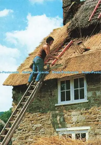 D248568 Thatching Britain Countryside J Salmon Ltd Cameracolour