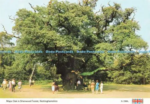 D244405 Nottinghamshire Major Oak in Sherwood Forest E T W Dennis and Sons Ltd P