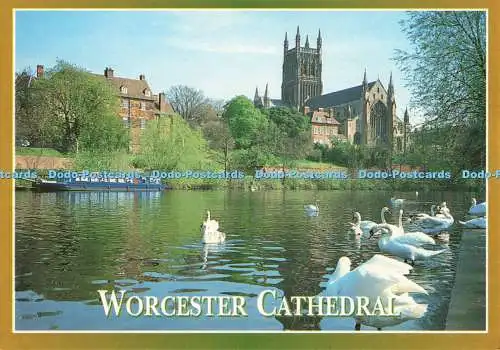 D246730 Worcester Cathedral E T W Dennis Mr Colin Martin