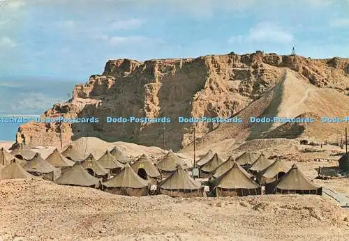 D241816 Massada Blick auf den König-Herodes-Palast und das Tote Meer im Vordergrund