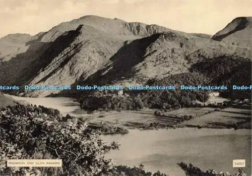 D241823 Snowdon and Llyn Padarn Photochrom Co Ltd