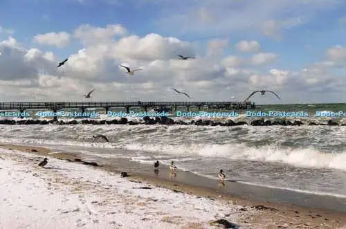 D244768 Fischland Ostseebad Wustrow Hubner