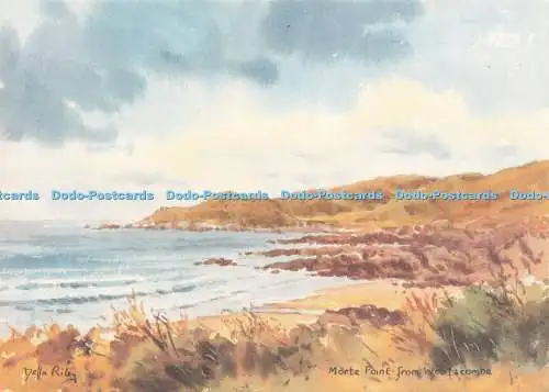D244908 N Devon Morte Point Della Riley Chichester Gallery Dolphin Printers