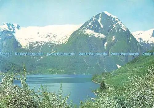 D247253 Norwegen Sogn Balestrand Richtung Berg Vindreken Normann