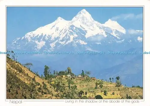 D242293 Nepal Leben im Schatten der Wohnstätte der Götter Kunstkarte Himalaya Jo
