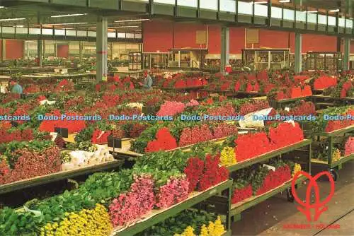 D247590 Schnittblumenabschnitt United Flower Markets Aalsmeer W G Buis