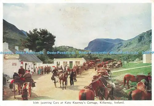 D250453 Irland Killarney Irish Jaunting Cars at Kate Kearney Cottage Cardall Lt