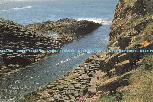 D250753 Isle of Staffa Class 37 Designs Martin Guppy 1994