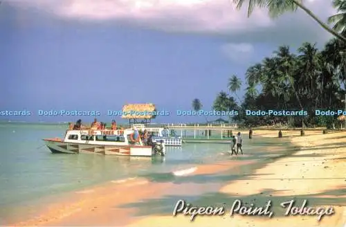 D251001 Tobago Pigeon Point Pumpkin Photo 2004