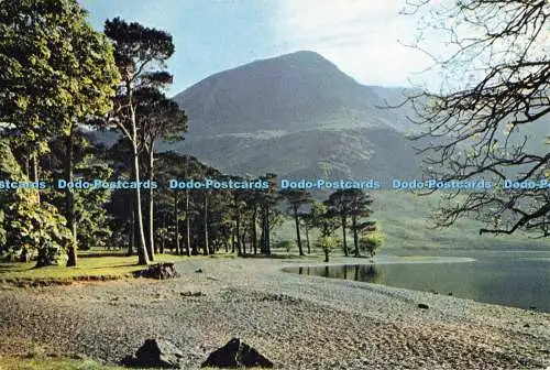 D251063 Cumberland The Buttermere Pines J Arthur Dixon Ltd