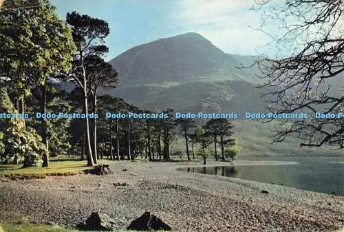 D251064 Cumberland The Buttermere Pines J Arthur Dixon Ltd