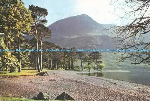 D251065 Cumberland The Buttermere Pines J Arthur Dixon Ltd 1977