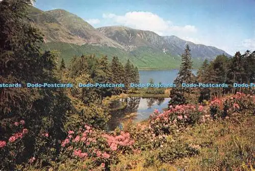 D251081 Inverness Auenland Loch Lochy J Arthur Dixon Ltd