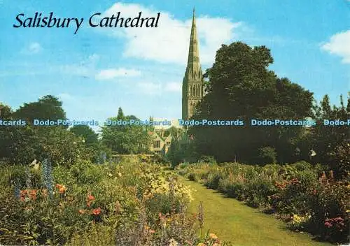 D251250 Kathedrale von Salisbury aus dem Canonry Garden J Salmon Ltd Cameracolour 19