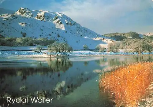 D251380 Rydal Water J Salmon Ltd Cameracolour 1998