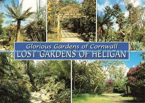 D251878 Glorious Gardens of Cornwall Lost Gardens of Heligan J Salmon Ltd Kamera