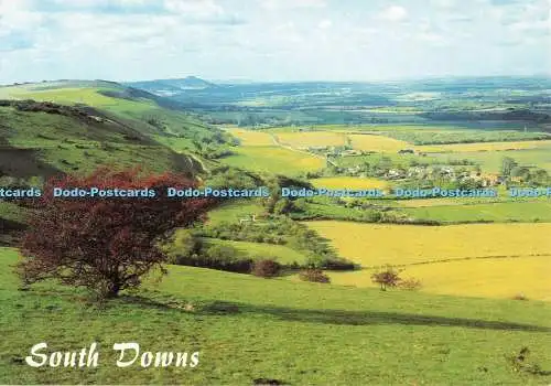 D251997 South Downs The South Downs und Fulking J Salmon Ltd Kamerafarbe