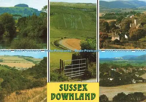 D251998 Sussex Downland J Salmon Ltd Cameracolour Multi View
