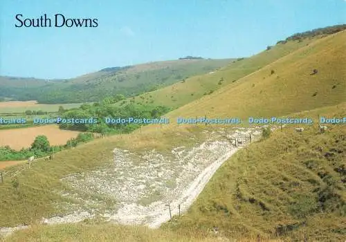 D252000 South Downs Above Fulking J Salmon Ltd Kamerafarbe