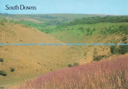 D252001 South Downs J Salmon